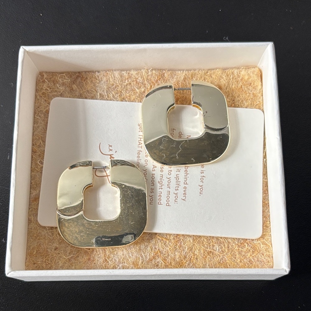 RARE/Retired Jenny Bird Mega Cushion Hoop Silver Earrings w box/card/felt wrap
